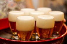 Taller-cata de cervezas en Barcelona