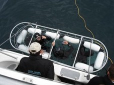 Buceo en el mar de Santander Santander
