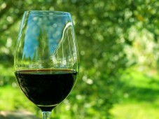 Curso Introducción al Mundo del Vino - Valencia Valencia