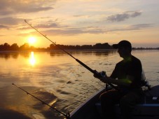 Sverige : Pesca en Suecia Gotenburgo, Suecia