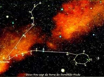 Regala una estrella