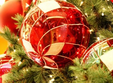 Experiencias de Navidad