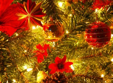 Ideas para regalar en Navidad