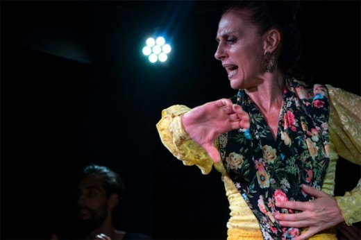 Espectáculo flamenco en vivo - Madrid