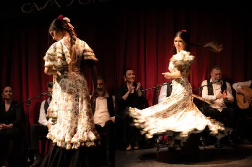 Espect&aacute;culo flamenco