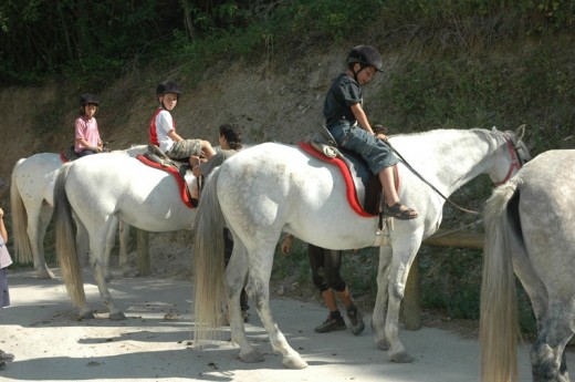 Ruta a caballo para dos en Lleida