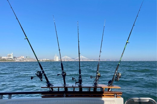 Pesca embarcada privada en Lisboa para hasta 6 personas