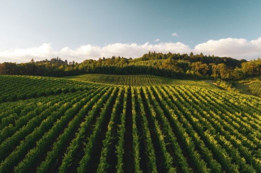 La Rioja