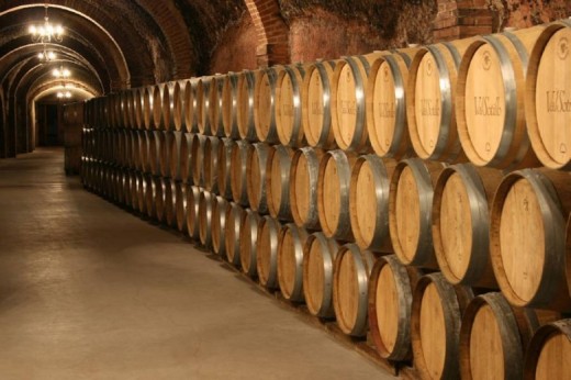 Visita Bodegas en Ribera del Duero