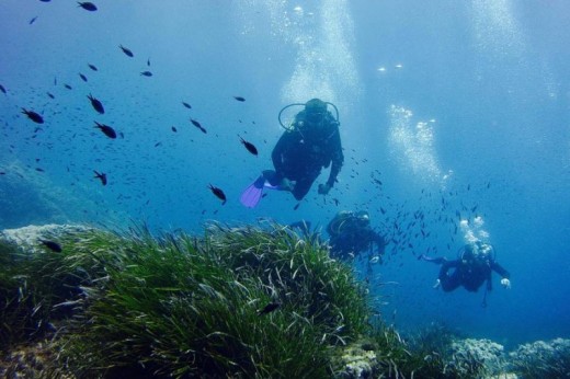 Bautismo de buceo en Menorca | Isla Baleares