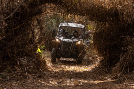 Cross Country (1h30) | Buggy 4 plazas
