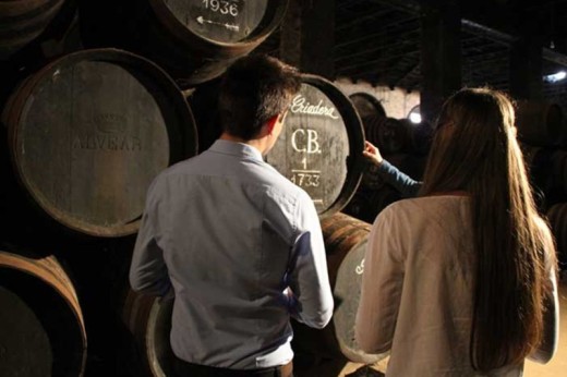 Visita de Bodegas Avivar con Cata de 3 Vinos - 2 personas