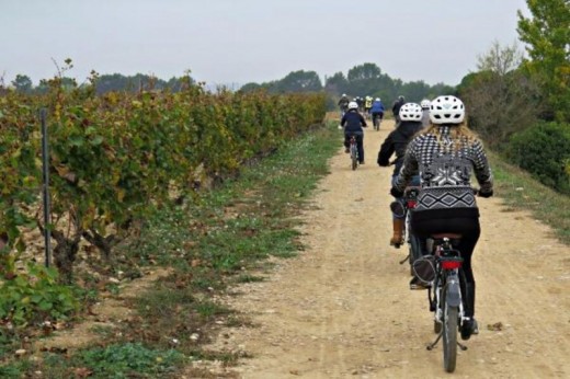 Cata de vinos y visita a la bodega en bici eléctrica en Barcelona