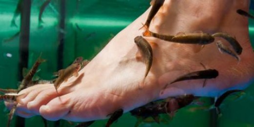 Trattamento Fishing ai piedi & Soggiorno 1 Notte