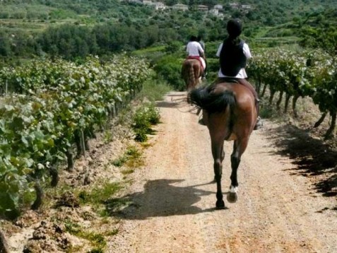 Curso de Cata y Ruta a Caballo en Barcelona