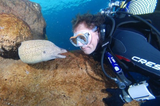 Buceo con tiburones