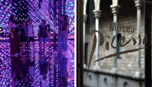 Museo Picasso y Moco Museo