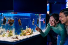Entradas a L'Aquàrium de Barcelona