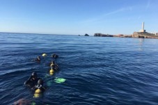 Bautizo de buceo en las Calas de Cabo Palos | Murcia