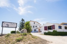 Cata de vinos y visita a la bodega en bici eléctrica en Barcelona