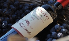 Cata de Vino en la Bodega Le Bignele para 2