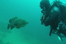 Bautizo de buceo en las Calas de Cabo Palos | Murcia