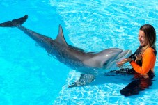 Nadar con delfines – Albufeira, Portugal