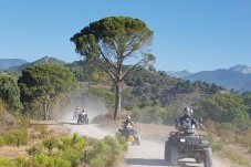 Quad Marbella 