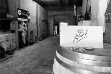 Escape Room en las bodegas Cellers Blanch en Tarragona - 2 personas