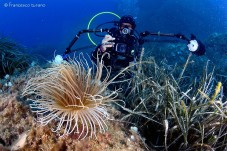 Immersione Sicilia - Isole Eolie