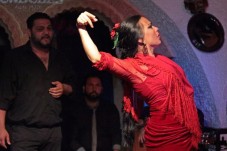 Flamenco en estado puro.