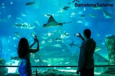 Entradas a L'Aquàrium de Barcelona