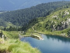 Noche en Familia con Cena en Trentino Alto Adige