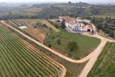 Curso de Cata y Ruta a Caballo en Barcelona