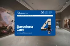 Barcelona Card 96h