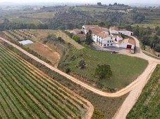 Escapada enológica con visita y curso a una bodega - Penedès