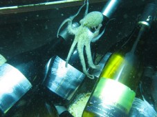 Una botella única