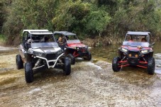 Ruta en Buggy por Marbella