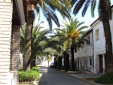 Visita de Bodegas Avivar con Cata de 5 Vinos - 2 personas