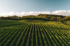 Visita de Bodegas y cata de vinos en La Rioja desde Bilbao
