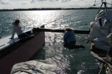 Croisière journée découverte de l'Île Houât 