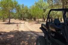 Randonnée en Buggy au coucher du soleil avec pique-nique à Comporta pour 2