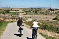 Cata de vinos y visita a la bodega en bici en Barcelona