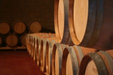 Visita y cata de vinos en Ciudad Real - 2 personas