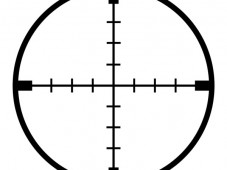 Clay Pigeon, Pistol & Rifle Shooting