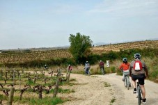 Cata de vinos y visita a la bodega en bici en Barcelona