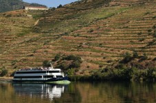 Croisière sur le fleuve Douro : Porto – Régua – Porto | Enfant
