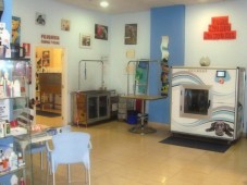 Spa perros pequeños Madrid - Bienestar total