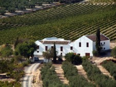 Visita de Bodegas Avivar con Cata de 3 Vinos - 2 personas