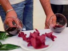 Visita Bodega, Viñedos y Cata Marinada - 2 personas